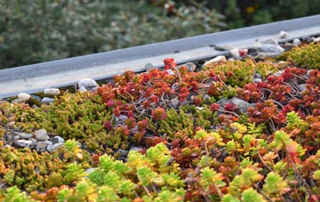 the cost of Laneshaw Bridge green roof installation