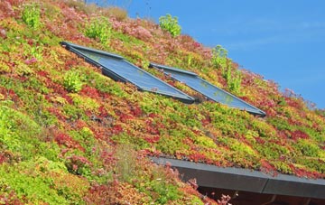 Laneshaw Bridge living roof systems