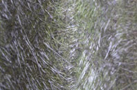 Laneshaw Bridge fibreglass roof work